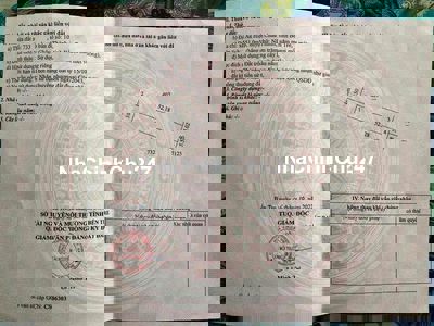 Đất An Hiệp Bến Tre đường ÔTÔ cách quốc lộ 100m❤️