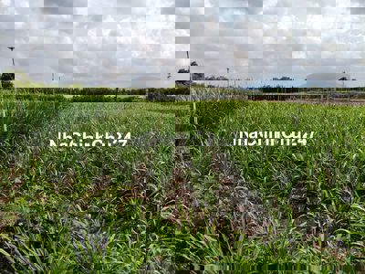 Chính Chủ cần bán 1000m đất Xuân Đông, Cẩm Mỹ, Đồng Nai