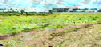 Ngộp 1100m2 đất vườn bao Suối - Sát Đường DH chỉ 100m,Giá chỉ: 350tr