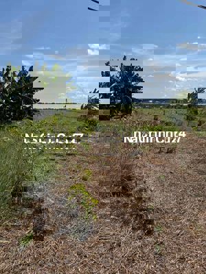 Bán Đất Vườn 300m2 Mặt Tiền Đan 2 Xã Phú Đông