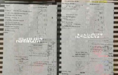 Bán đất lúa 1843m2 ( được lên thổ cư 230m2 ) giá 1tỷ