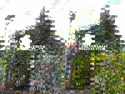 🏡 Bán Gấp Nhà Vườn Sinh Thái Đồng Nai – Giá Chỉ 1.5 Tỷ 💰