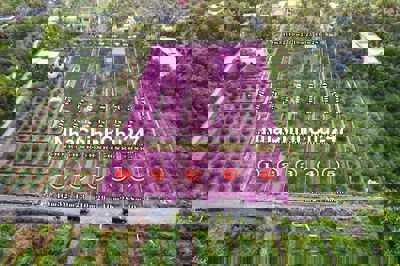 Đất vườn đường chuyển thổ siêu đẹp, gần nhựa tỉnh lộ