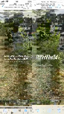 BÁN ĐẤT VỪƠN XÃ TÂN THẠNH TÂY HUYỆN CỦ CHI