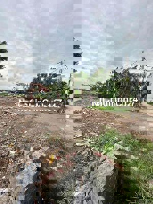 chính chủ gửi bán đất