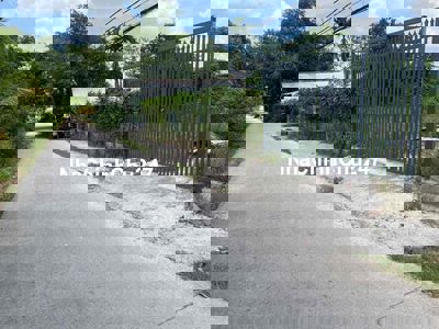 Bán đất mặt tiền đường T8, Hưng Long, Bình Chánh