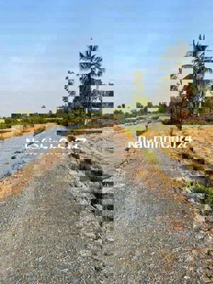 🌿 CHỦ GỬI ĐẤT VƯỜN – GIÁ CHỈ 600 TRIỆU – XÂY NHÀ VƯỜN LÝ TƯỞNG