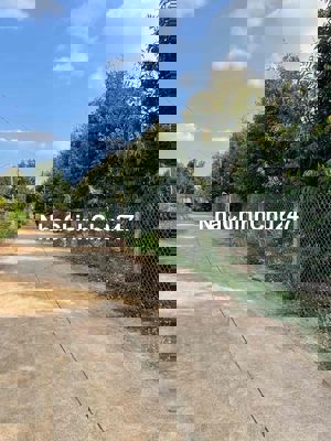 Vườn Sầu Riêng gần DT770B Xuân Lập Long Khánh