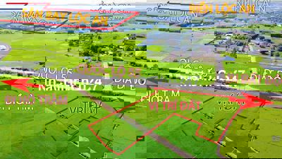 Bán hơn 1.3 ha Quốc lộ 55 giá rẻ