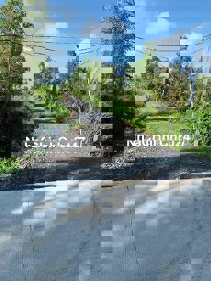 Hàng FO thạnh hoà bến lức , dt 1000m2 giá rẻ : 798 triệu