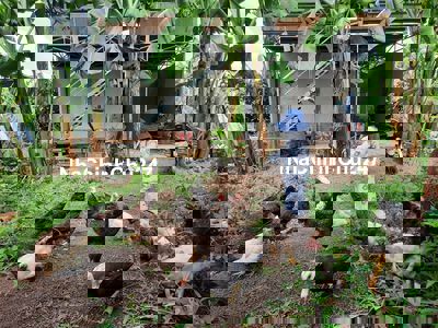 🌳 Nhà Vườn Mơ Ước 1000m² Sinh Thái Đồng Nai – 1,1 Tỷ Cho Gia Đình Bạn!