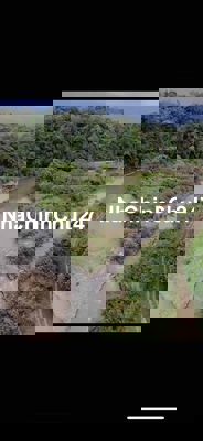 bán đất vieu suối