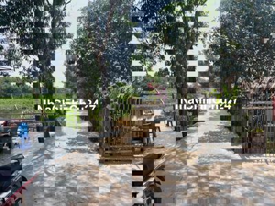 Bán đất vườn Hóc Môn 1253m2 giá 6 tỷ