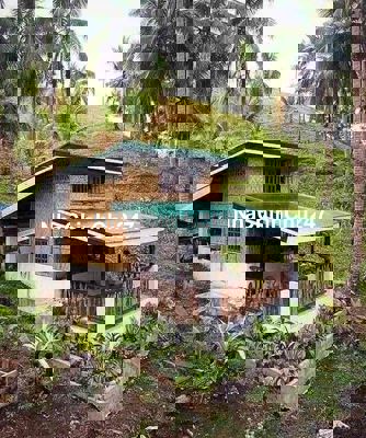 Bán đất rẻ Đồng Nai