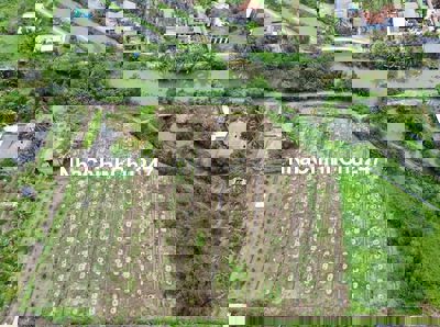 🌈🌈 Đất vườn được chuyển thổ