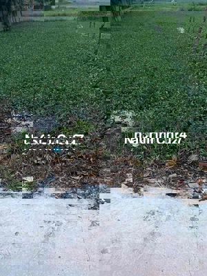 Tôi bán đất 2500m giá 18.2 tỷ ngay chung cư picyty