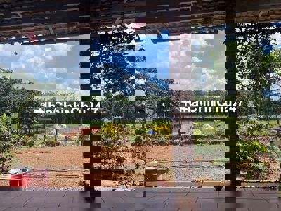 nhà trên đất nợ xấu bán gấp 350tr diện tích hơn 1000m2