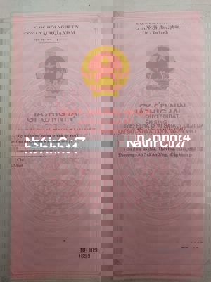 Bán đất cây lâu năm mặt tiền đường Rừng Sác, huyện Cần Giờ, TP. HCM.