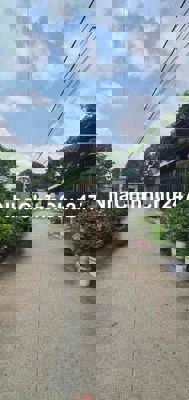 GIẢM MẠNH 1ty BÁN NHANH 672m ĐẤT TRỒNG CÂY GIÁ 5ty5