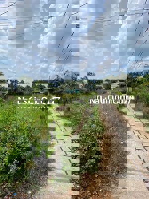 Chính Chủ Bán 100m2 thổ,SHR,Đ.Nguyễn Văn Mạnh-Long Hoa-Cần Giờ