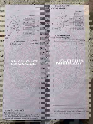 Bán đất tặng nhà cấp 4 tại Điện Thắng Bắc giá chỉ 980tr