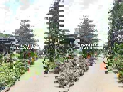 ĐẤT NGỢP BẢN VIỆT BANK BẤN GẤP GIÚP CHỦ