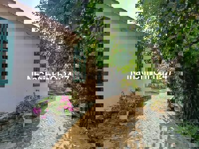 Nhà vườn có 2 nhà cổ.