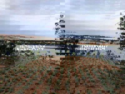 Chính chủ cần bán đất xào phủ hồng wiew hồ suối rao- giá cực rẻ