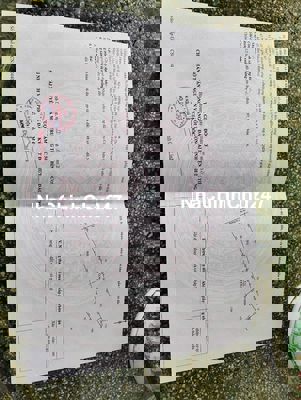 Chính chủ cần ra nhanh gần 1 hecta đất tại Minh Tân-Dầu tiếng