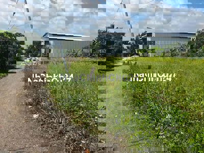 Chính chủ cần bán đất thổ cư sổ riêng Xuân Phú Xuân Lộc ngay đường QL1