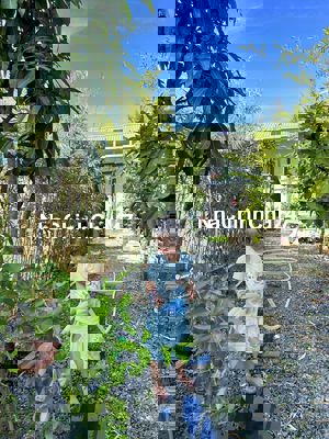 Nhà vườn nguyên căn khu 2A gần khu công nghiệp điện nam điện ngọc