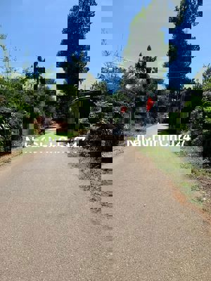 CHÍNH CHỦ NGỘP BÁN LÔ ĐẤT GẦN VÒNG XOAY HÒA LONG 219M2