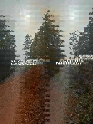 đất sát khu công nghiệp cây trường II Bàu Bàng