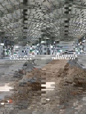 Chính chủ bán xưởng Đường TL 823, Hòa Khánh Tây, Đức Hòa, Long An.