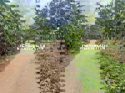 10*50 100 thổ cư NGÃI GIAO CHÂU ĐỨC