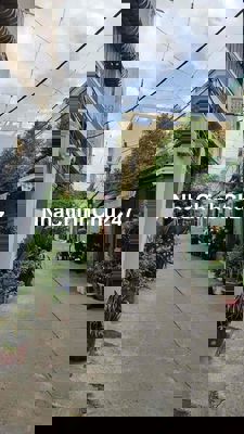 Chính Chủ Cần Bán Gấp