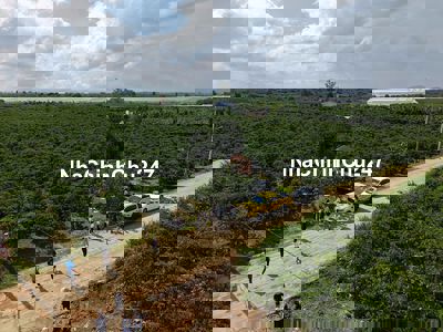 Chính chủ bán đất ven Đà Lạt chỉ 390 triệu sở hữu 200m2 sẵn thổ cư