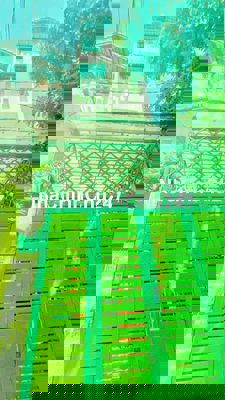 NGAY CÔNG VIÊN BÀU CÁT - 60M² - XÂY 4 TẦNG 6PN KHÉP KÍN