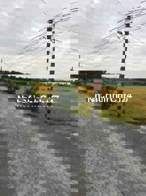 đất nông nghiệp, diện tích: 6.000m , mặt tiền đường nhựa 5m, chính chủ