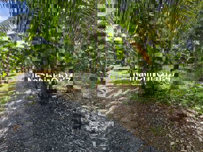 Chính chủ cần bán Đất Nền thổ cư 100%