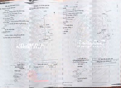 CHÍNH CHỦ cần bán gấp 2 nền thổ cư 116m2, Cần Đước, Long An