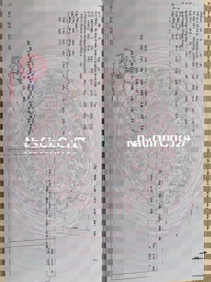 Bán đất vườn trồng cây lâu năm tại Xã Bàu Chinh - Châu Đức - BRVT