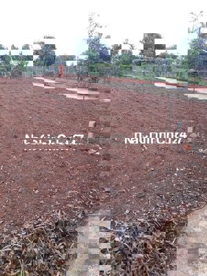 Hồ Eakao_ Thổ Cư Chính Chủ