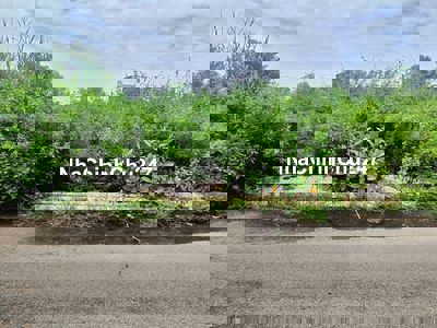 Bán gấp lô đất thổ cư 66m2(4x16,45), đường 9m, rẻ nhất P Long Phước Q9