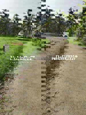 390tr,đất / Chu Văn An,TT Dương Minh Châu,Tây Ninh,Dt 5x25,tc50