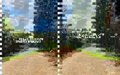 Chính Chủ Cần Tiền Bán Gấp Lô Đất Thổ Cư 150m2 Xã Lộc Đức Giá Chỉ 2ty6