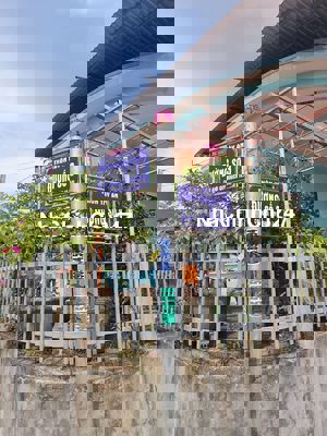 Bán gấp đất điện bàn giá rẻ