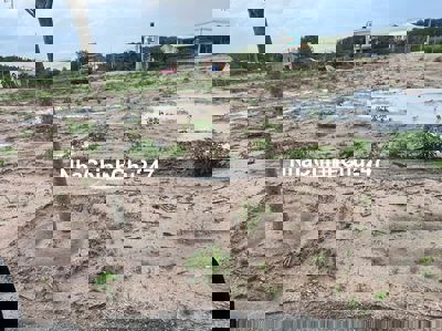 Chủ gửi lô đất 200m² gần chợ Minh Hưng – giá chỉ 450 triệu