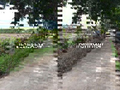 Lixi 2tỷ NƠI GIỮ $ ANTOÀN ĐẤT nhà Gần Chợ ThuậnĐạt KDC47ha HƯNGLONG BC