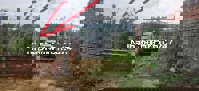 Bán gấp nhà vườn xã Bình Lợi Vĩnh Cửu 3.700m2 trong tuần cực rẻ